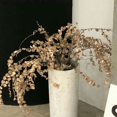 巴宜FurryQQ群介绍